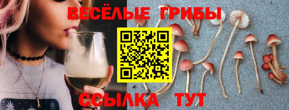 Псилоцибиновые грибы GOLDEN TEACHER  Вход с VPN  Галлюциногенные грибы мухоморы  Киселёвск 