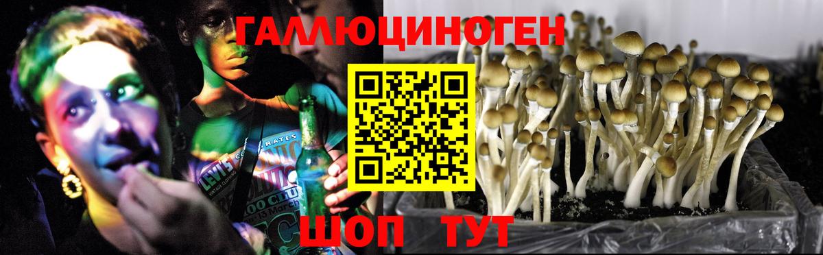 Галлюциногенные грибы мицелий Киселёвск