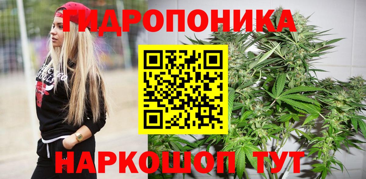 Марихуана White Widow Киселёвск